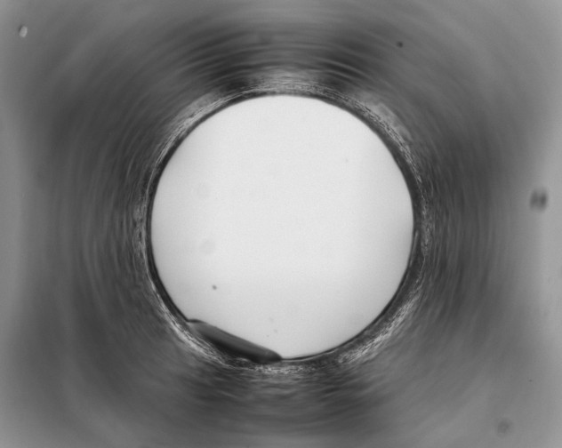 X0000098081041200805021017