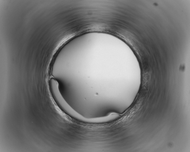 X0000098081042200805021017