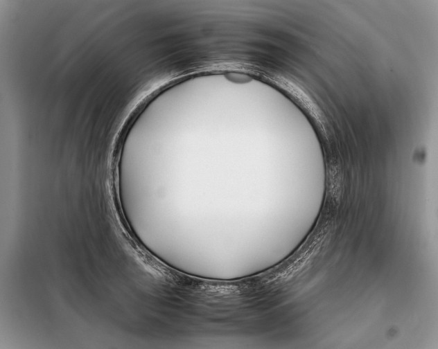 X0000098081043200805021017