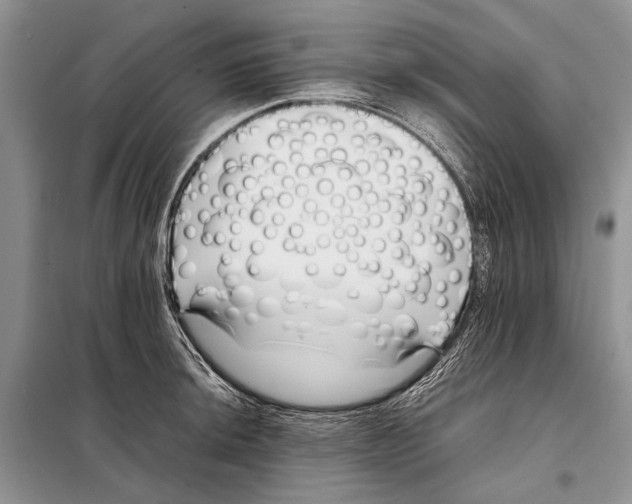 X0000098081044200805021017