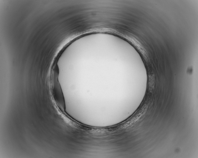X0000098081046200805021017