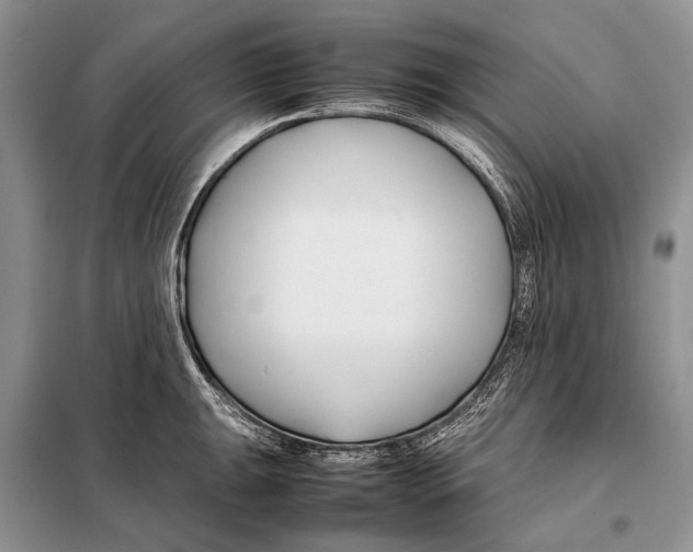X0000098081047200805021017
