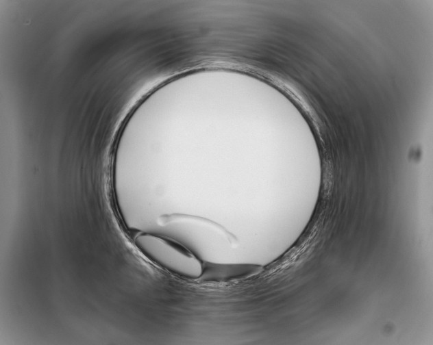 X0000098081048200805021017