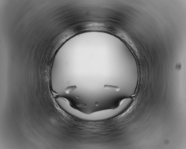 X0000098081049200805021017