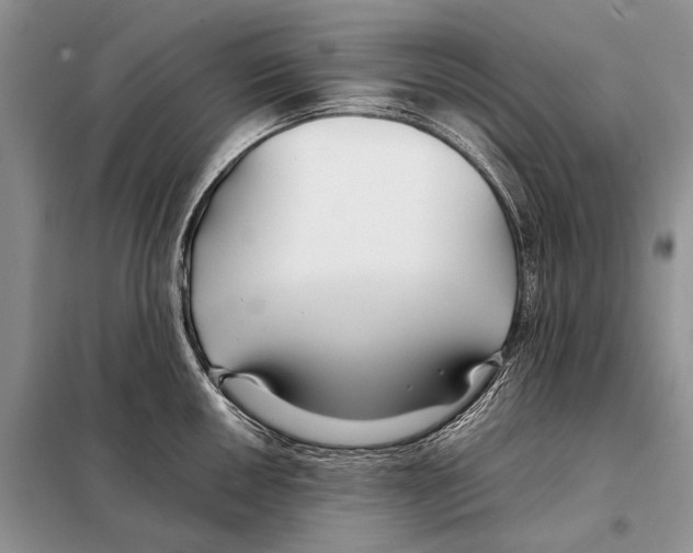 X0000098081050200805021017