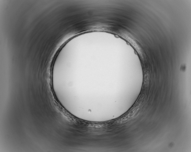 X0000098081051200805021017