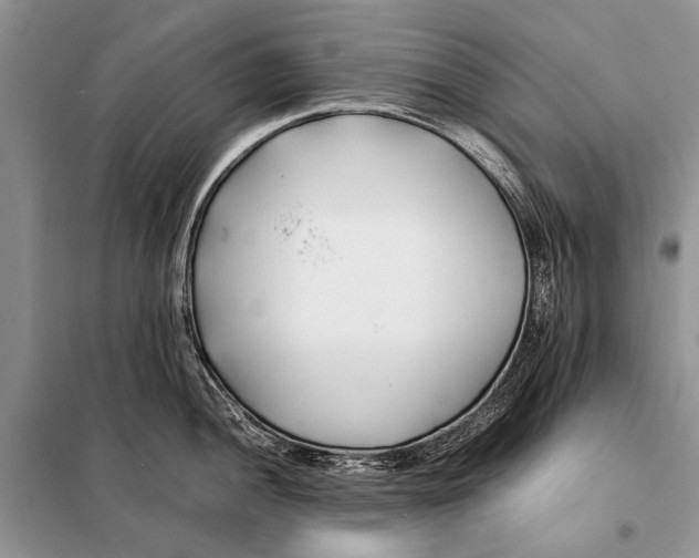 X0000098081052200805021017
