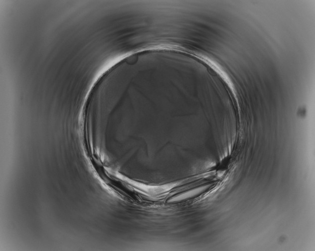 X0000098081053200805021017