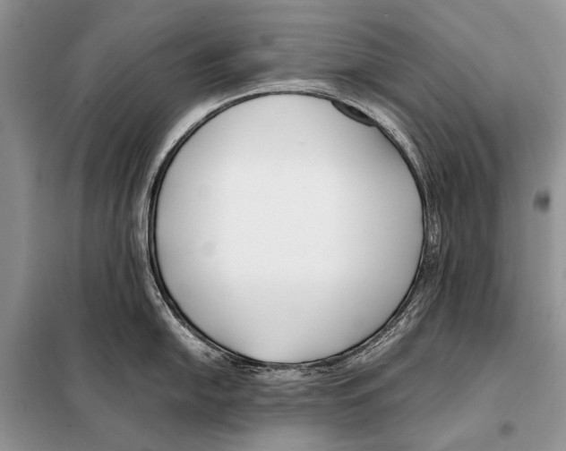 X0000098081054200805021017