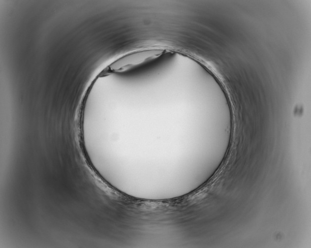 X0000098081056200805021017