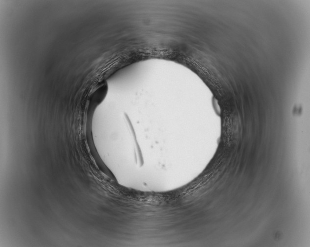 X0000098081058200805021016