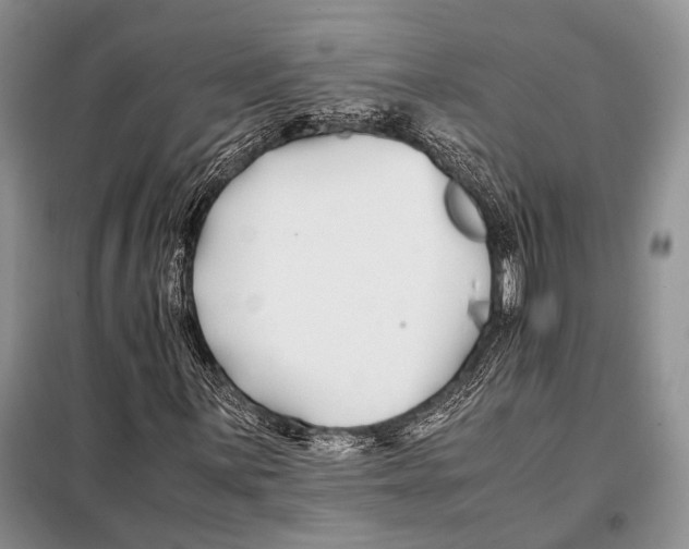 X0000098081059200805021016