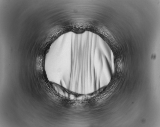 X0000098081060200805021016