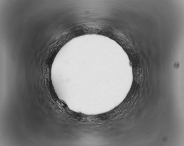 X0000098081061200805021016