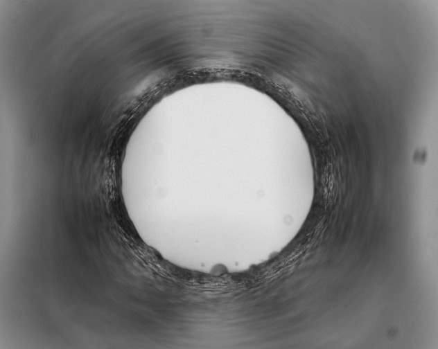 X0000098081062200805021016