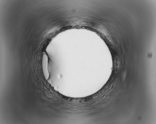 X0000098081063200805021016
