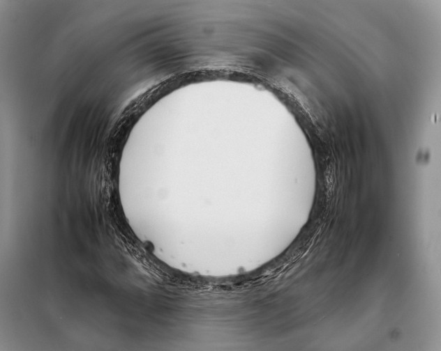 X0000098081064200805021016