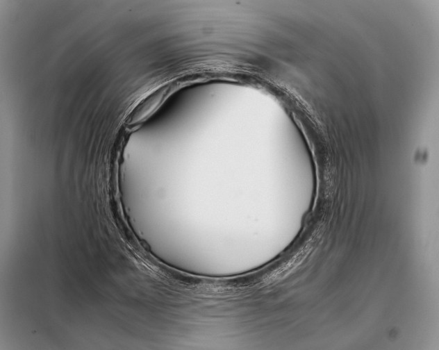 X0000098081065200805021016