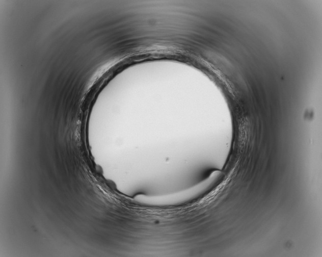 X0000098081066200805021016