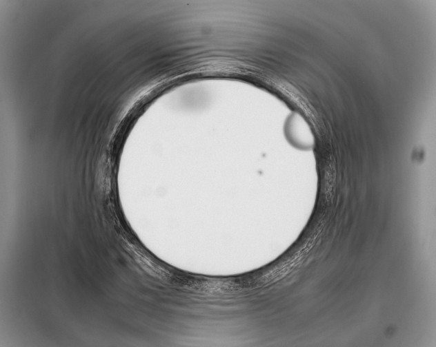 X0000098081067200805021016