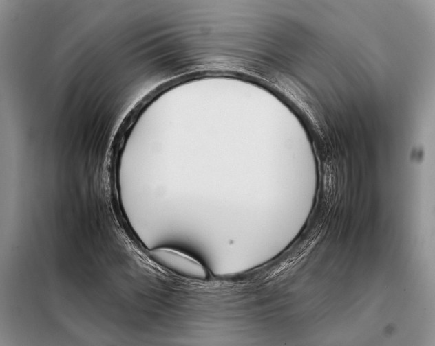 X0000098081068200805021016