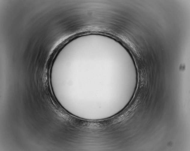 X0000098081070200805021016