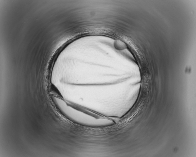 X0000098081071200805021016