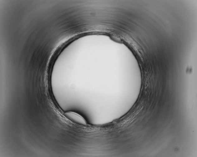 X0000098081072200805021016