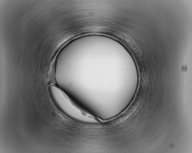 X0000098081073200805021016