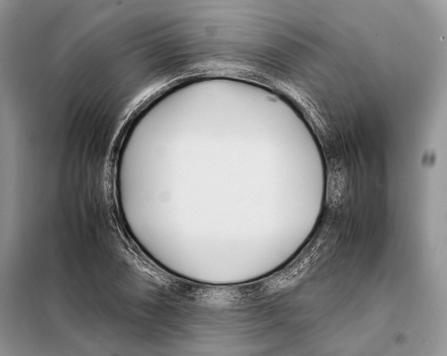 X0000098081074200805021016