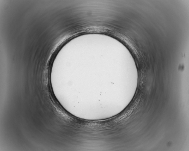 X0000098081075200805021016