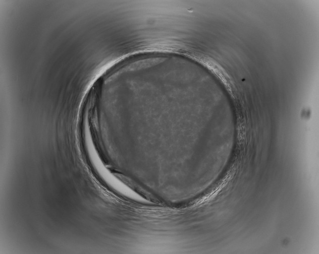 X0000098081077200805021016