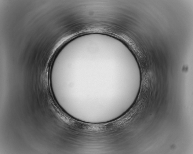 X0000098081078200805021016