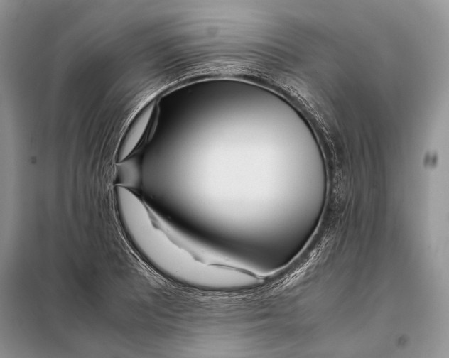 X0000098081081200805021016
