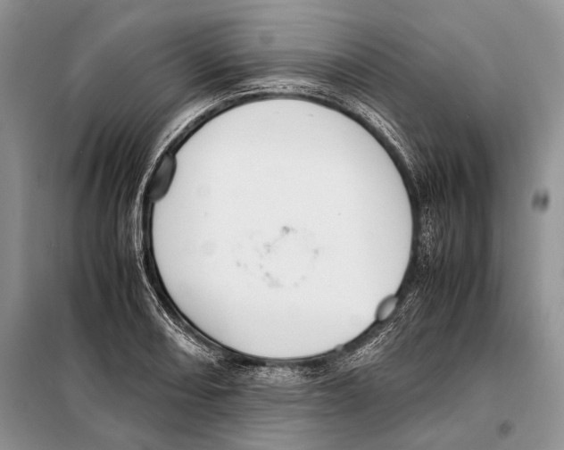 X0000098081082200805021016