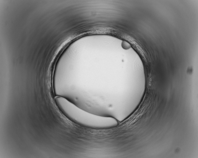 X0000098081083200805021016