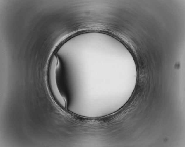 X0000098081085200805021016