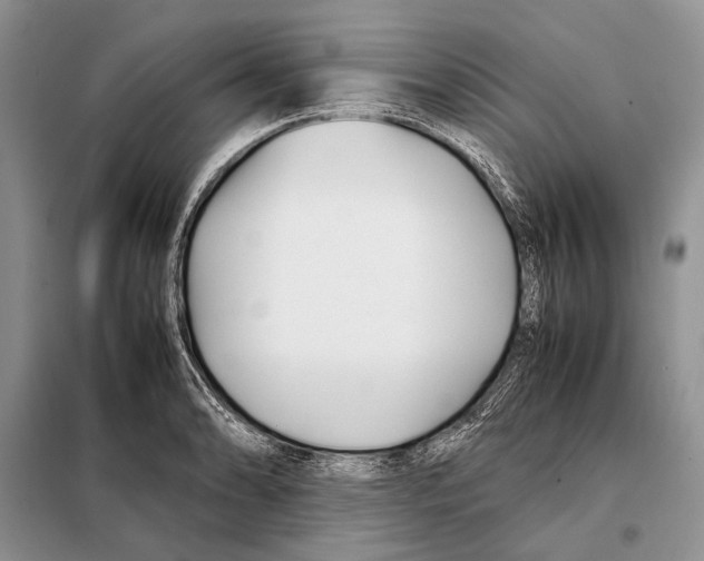 X0000098081086200805021016