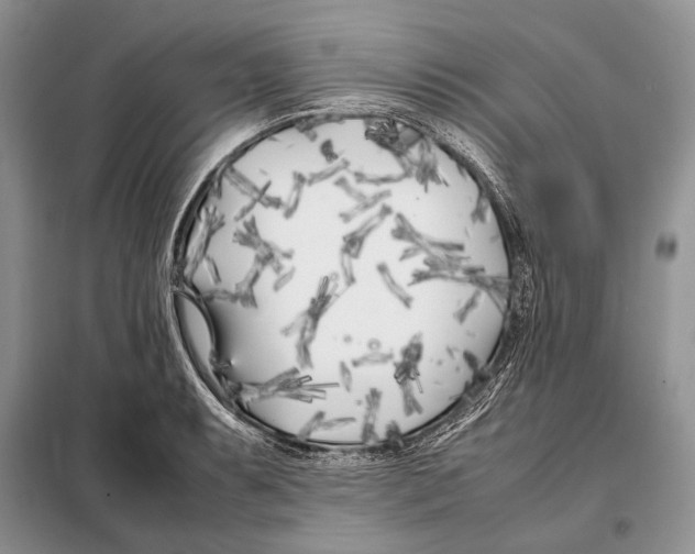 X0000098081087200805021016