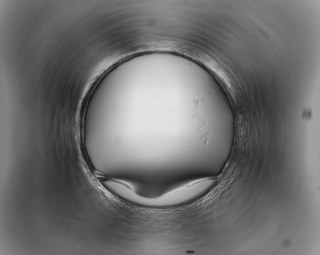 X0000098081088200805021016