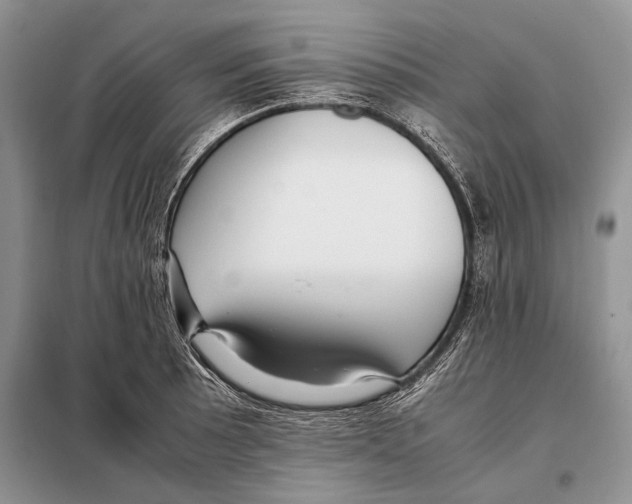 X0000098081089200805021016