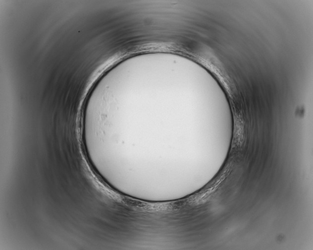X0000098081090200805021016