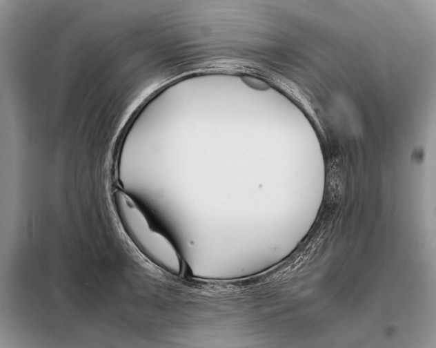 X0000098081091200805021016