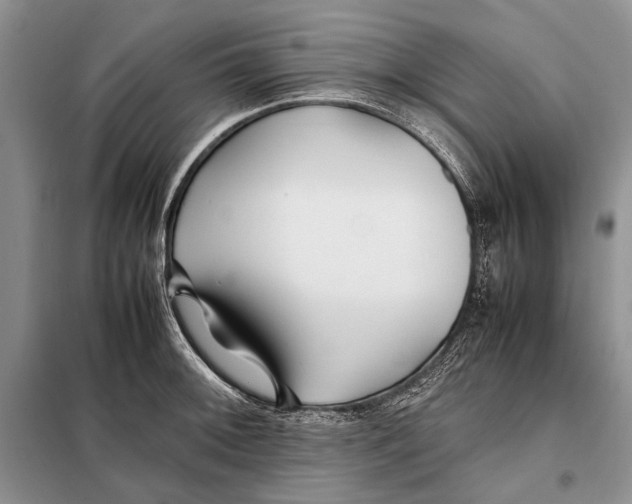 X0000098081092200805021016