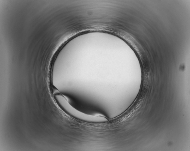 X0000098081093200805021016