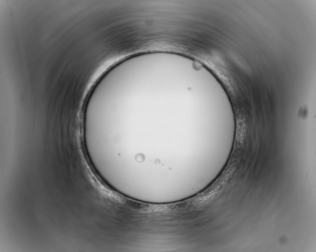 X0000098081094200805021016