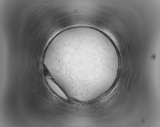 X0000098081097200805021016