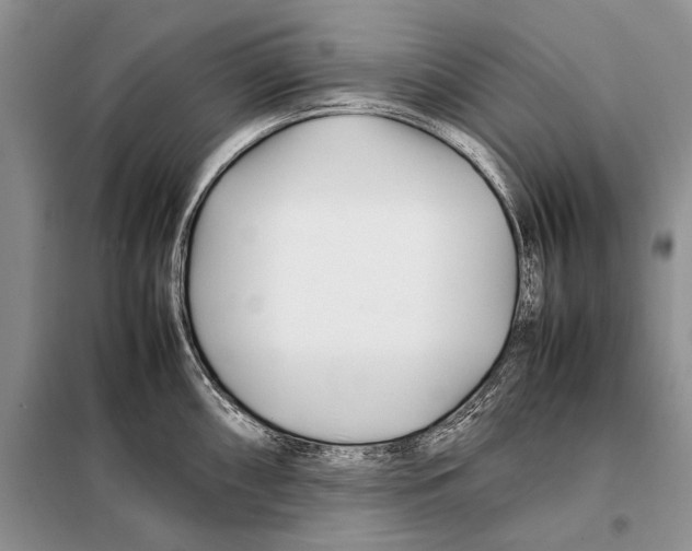 X0000098081098200805021016