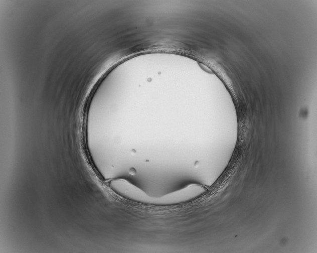 X0000098081099200805021016