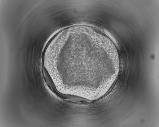 X0000098081100200805021016